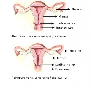 kakie-izmeneniya-proiskhodyat-v-polovykh-organakh-zhenshchiny-posle-menopauzy