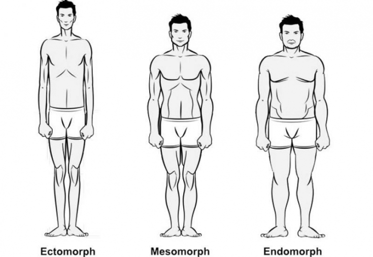 Типы телосложения мужчин: тренировки и питание - Estet-Portal