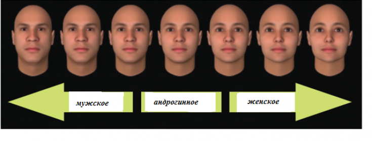 Онлайн тест по фото определить форму лица тест