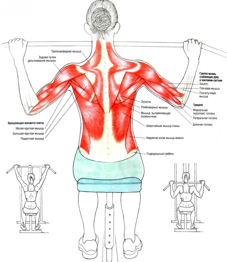 Сутулые плечи: 6 эффективных упражнений - Estet-Portal