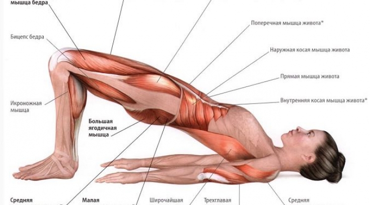 Синдром грушевидной мышцы: как снять боль в ягодицах - Estet-Portal