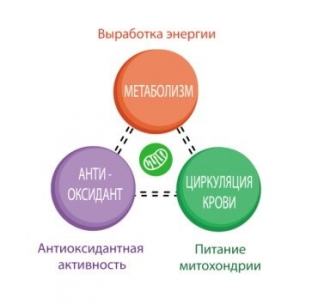 biologicheski-aktivnye-dobavki-mitichon-supplement-dlya-uluchsheniya-kachestva-vashej-zhizni