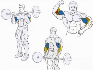 kak-stat-nastoyashchim-muzhchinoj-uprazhneniya-dlya-vyrabotki-testosterona