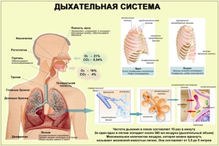 khronicheskij-bronkhit-kurilshchika-simptomy-i-lechenie