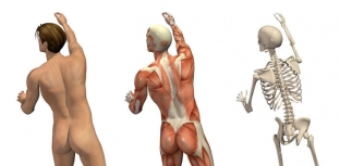 nailuchshie-kosmeticheskie-programmy-korrektsii-dlya-muzhskoj-figury