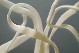 zhertvy-zhenshchin-radi-krasoty-5-shokiruyushchikh-faktov